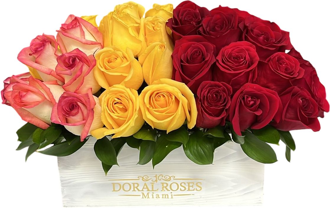 24 rosas mixtas en caja premium Miami. Arreglo multicolor único para ocasiones especiales. Entrega mismo día Doral, Brickell, Aventura.