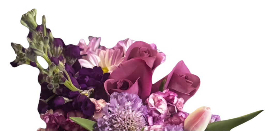 Ramo de celebración de rosas moradas y tulipanes