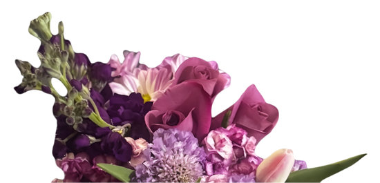 Ramo de celebración de rosas moradas y tulipanes