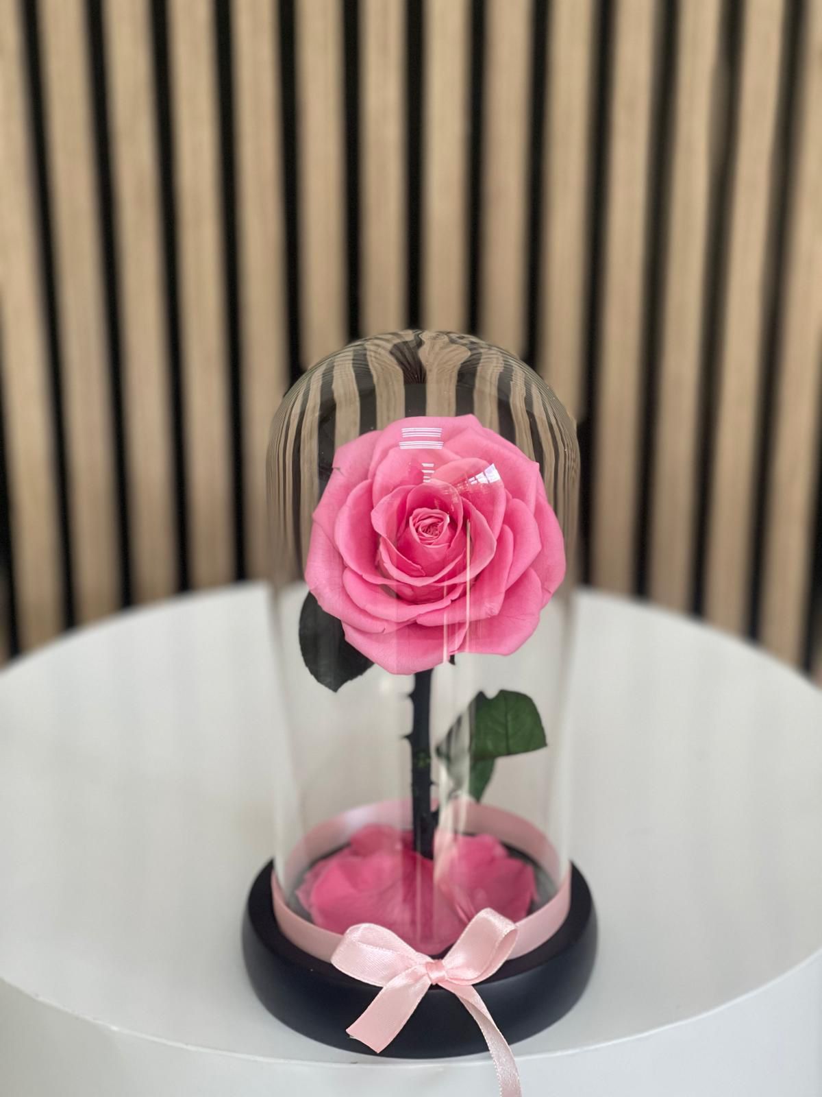 Rosa Preservada Lujo Miami - Single Elegante Doral