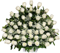 50 Rosas Blancas Miami - Arreglo Elegante Entrega Doral Hoy - Flores Frescas de BouquetsFlowers.com expresa distinción