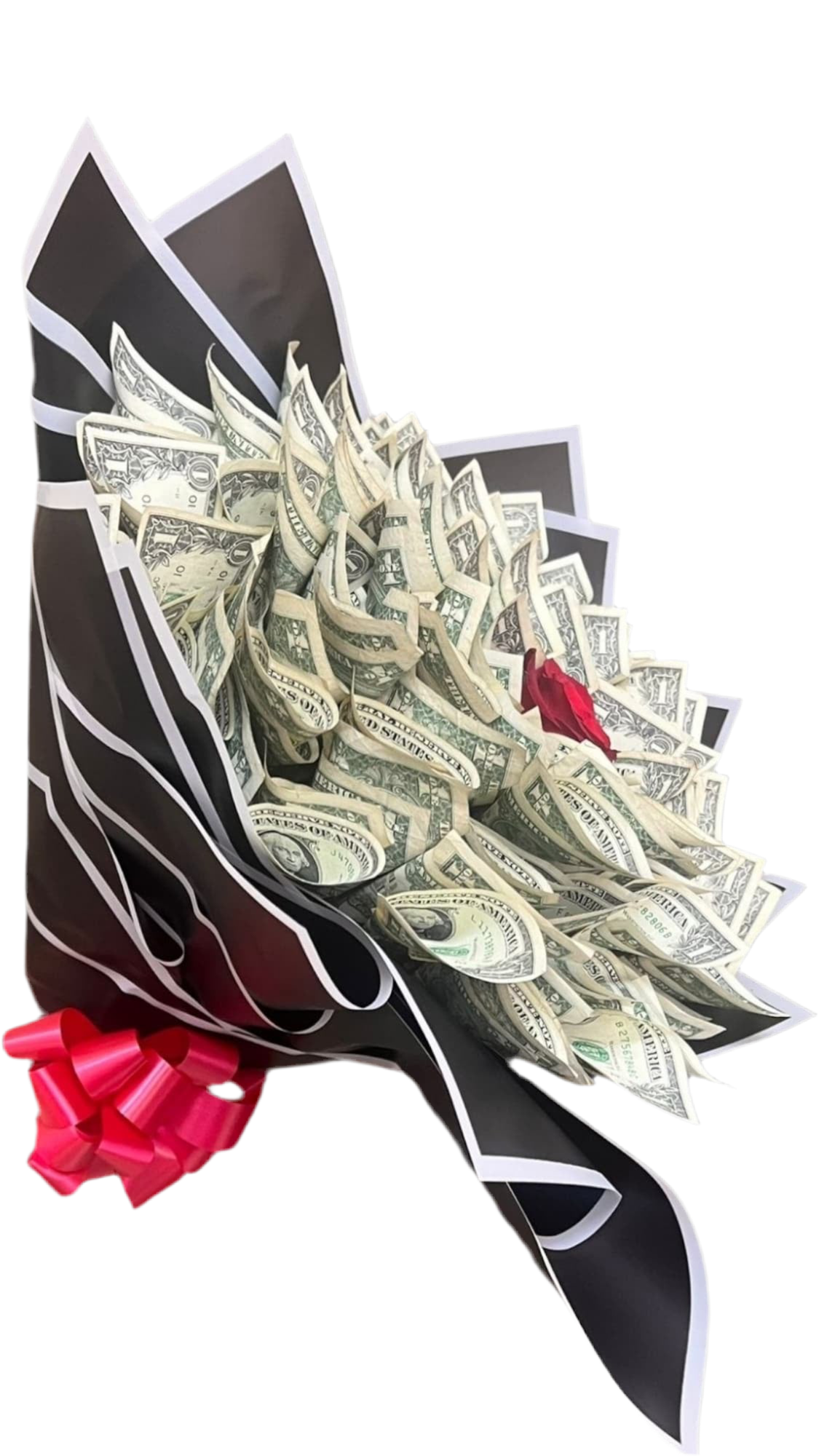 Ramo de Dinero con Rosa Miami - Regalo Original Entrega Mismo Día Doral Florida