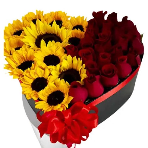 Caja Corazón Girasoles y Rosas Miami - Arreglo Floral Vibrante Entrega Mismo Día Doral