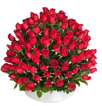 Descubre la elegancia de un arreglo de rosas premium en BouquetsFlowers.com. Entregamos hoy mismo en Doral y también en el resto de Miami con reserva anticipada.