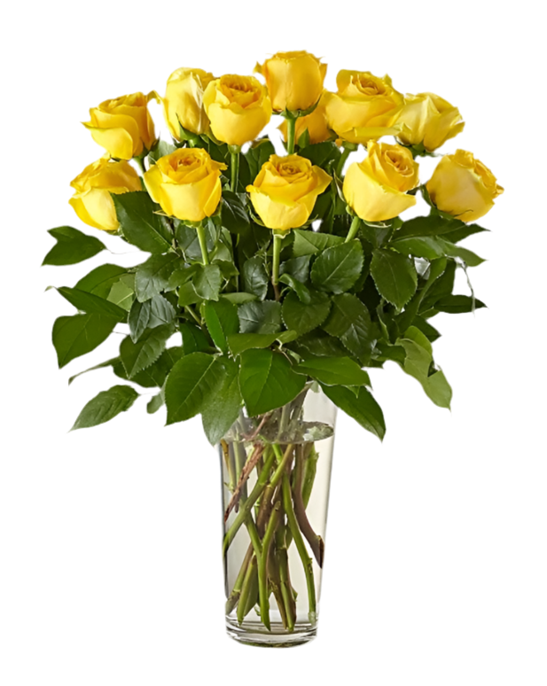 Las rosas más exclusivas te esperan en BouquetsFlowers.com. Entrega el mismo día en Doral y atención personalizada para Miami.