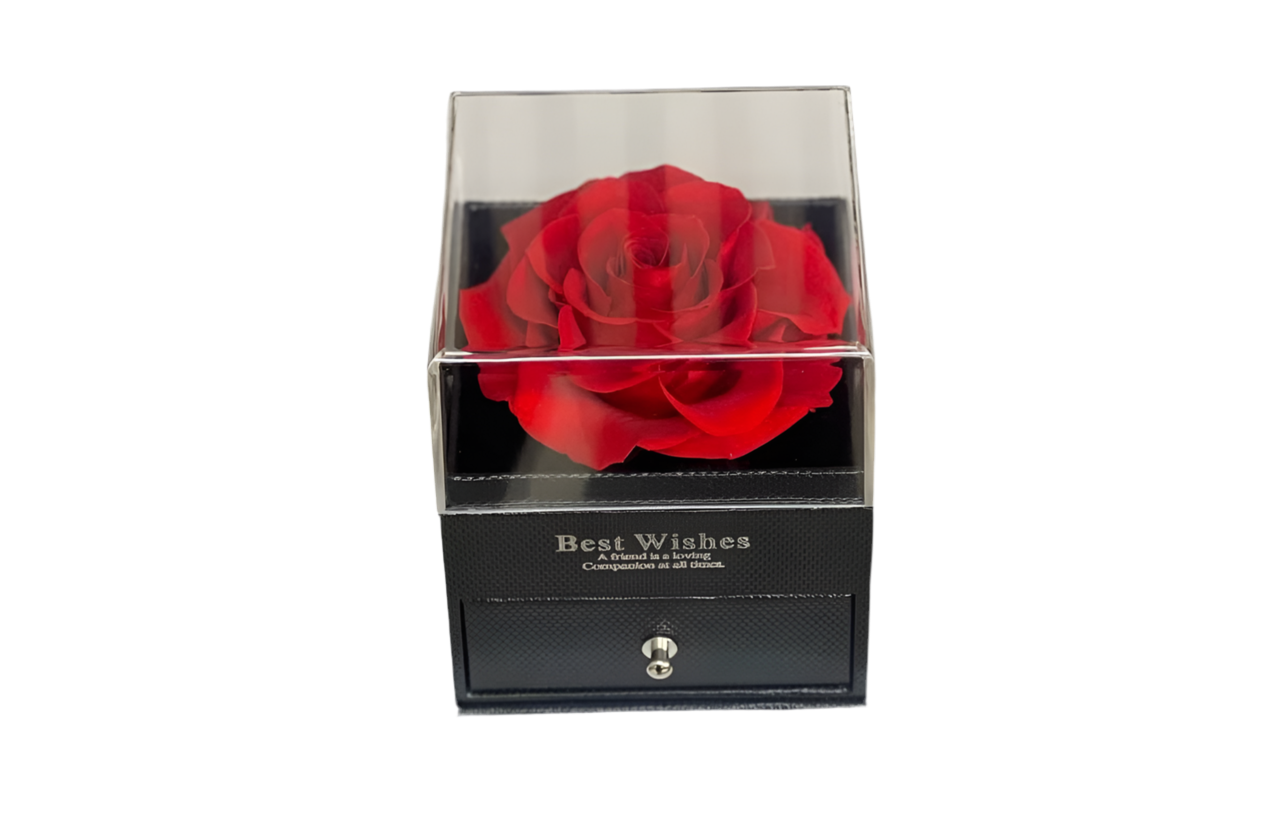Rosa Preservada Exquisita Miami - Elegancia Mujer Doral