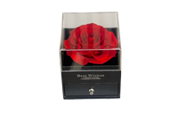 Rosa Preservada Exquisita Miami - Elegancia Mujer Doral