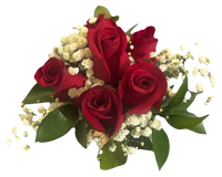 Haz que tu noche de graduación sea inolvidable* Bouquet de rosas rojas para prom en Miami. ¡Pide ahora en BouquetsFlowers.com !