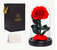 Rosa Preservada Lujo Miami - Single Elegante Doral