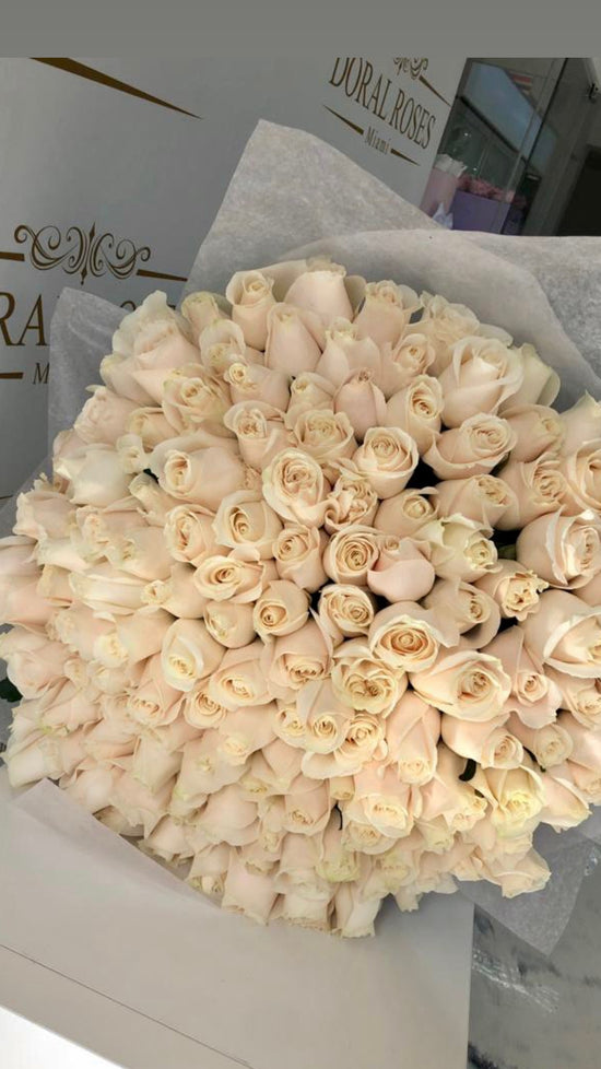 Rosas Blancas