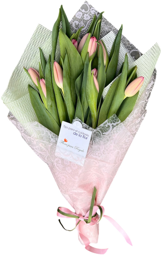 TULIPANES