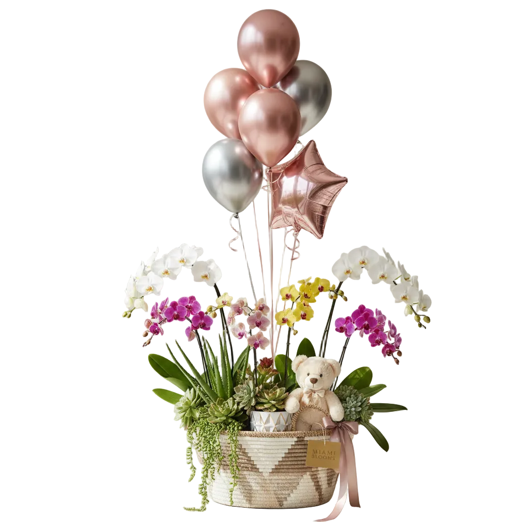 Plants & Gift Baskets in Miami