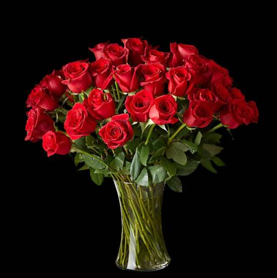 Rosas Rojas