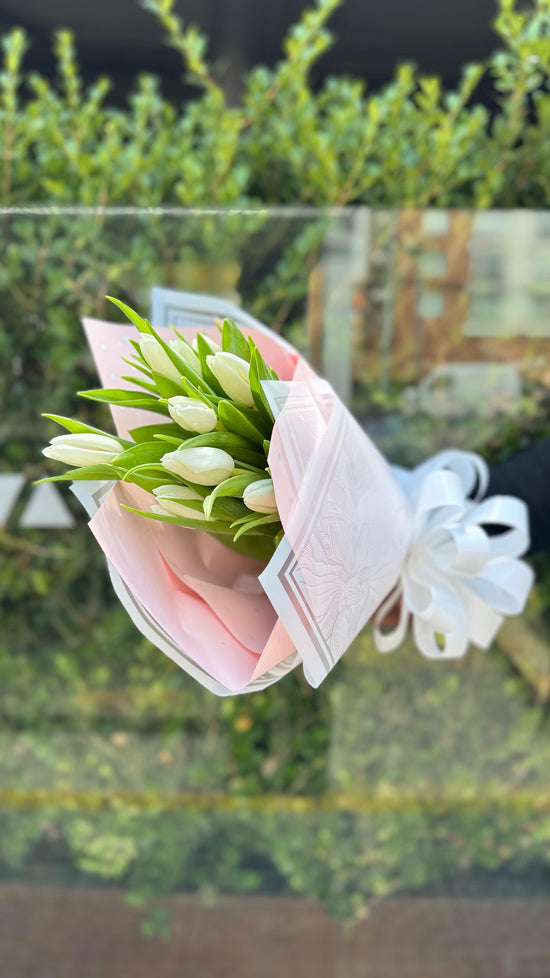 Tulip’s