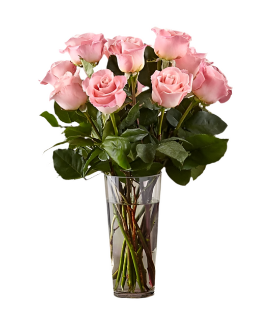 12 Rosas Tallo Largo Miami - Jarrón Cristal Premium