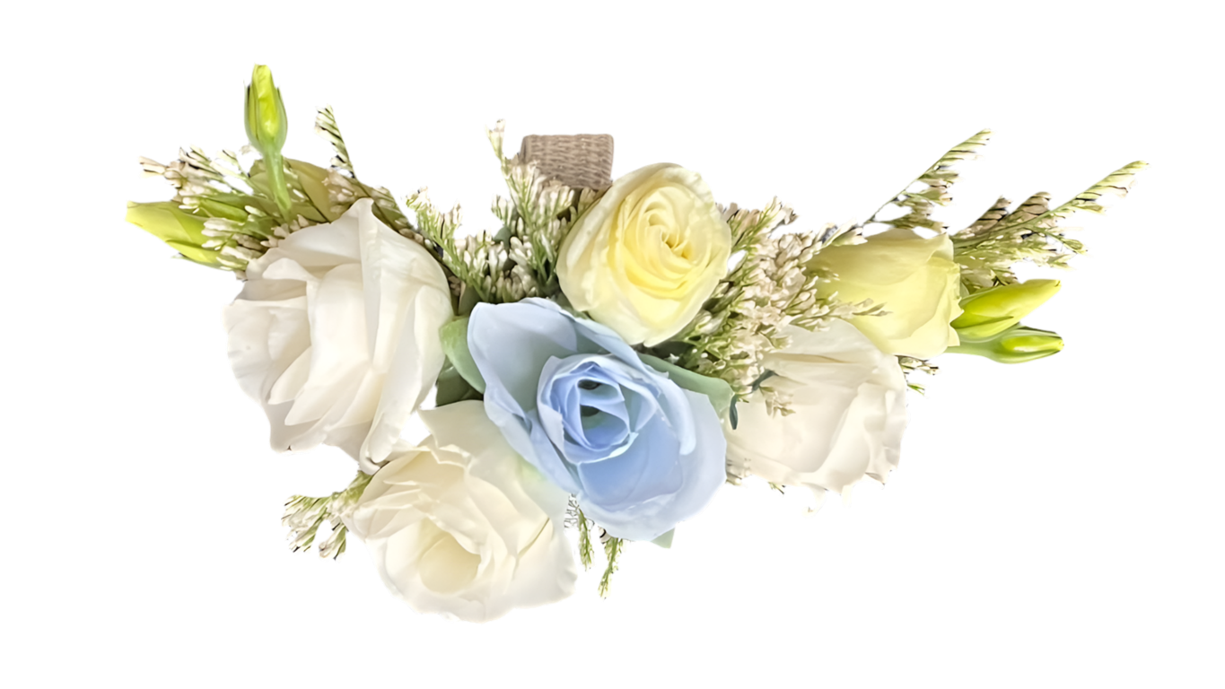 Pulsera Sueño Blanco