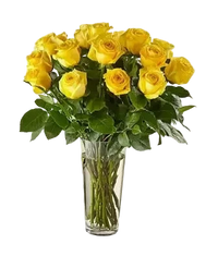 18 Long Stem Yellow Roses Bouquet In A Vase, Special Rose Bouquets And Arrangements, Rose Delivery. In our Long Stem Pink Rose Bouquet. Bouquets Flowers Miami, delivery
