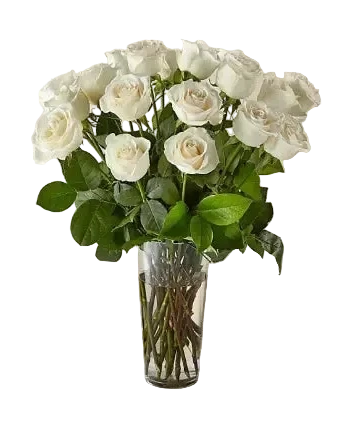 18 Long Stem White Roses Bouquet In A Vase, Special Rose Bouquets And Arrangements, Rose Delivery. In our Long Stem Pink Rose Bouquet. Bouquets Flowers Miami, delivery