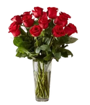 18 rosas tallo largo bouquet romántico Miami. Perfecto aniversarios, Christmas, San Valentín. Jarrón incluido. Entrega mismo día Doral. Florería premium 