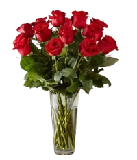 18 rosas tallo largo bouquet romántico Miami. Perfecto aniversarios, Christmas, San Valentín. Jarrón incluido. Entrega mismo día Doral. Florería premium 