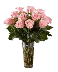 18 Long Stem Pink Roses Bouquet In A Vase, Special Rose Bouquets And Arrangements, Rose Delivery. In our Long Stem Pink Rose Bouquet. Bouquets Flowers Miami, delivery