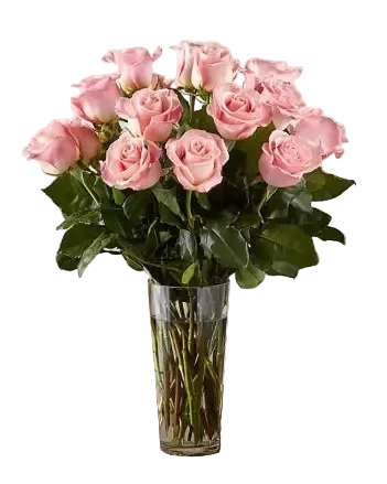 18 Long Stem Pink Roses Bouquet In A Vase, Special Rose Bouquets And Arrangements, Rose Delivery. In our Long Stem Pink Rose Bouquet. Bouquets Flowers Miami, delivery