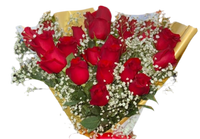 24 Rosas Rojas con Gypsophila Miami - Ramo Romántico Entrega Mismo Día Doral