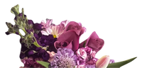 Ramo de celebración de rosas moradas y tulipanes