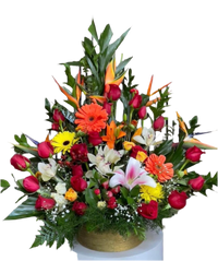 Abrazo Tropical: Flores exóticas que hablan por ti