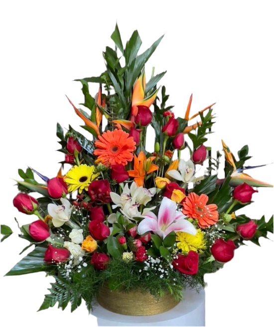 Abrazo Tropical: Flores exóticas que hablan por ti