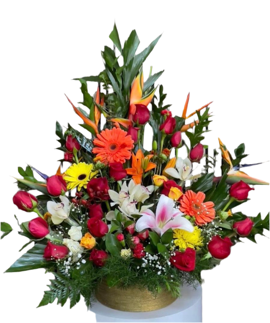 Abrazo Tropical: Flores exóticas que hablan por ti