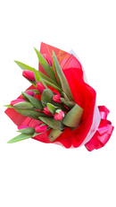 Tulipanes Rojos Miami - Ramo de Tulipanes Romántico Entrega Mismo Día Doral