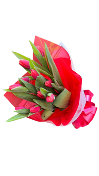 Tulipanes Rojos Miami - Ramo de Tulipanes Romántico Entrega Mismo Día Doral