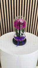 Rosa Preservada Lujo Miami - Single Elegante Doral