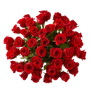 View Roses. Make a grand romantic gesture or surprise your sweetheart with these magnificent roses! Send 50 long stem red roses with a clear glass vase. Bouquets Flowers Miami, delivery