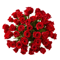 View Roses. Make a grand romantic gesture or surprise your sweetheart with these magnificent roses! Send 50 long stem red roses with a clear glass vase. Bouquets Flowers Miami, delivery
