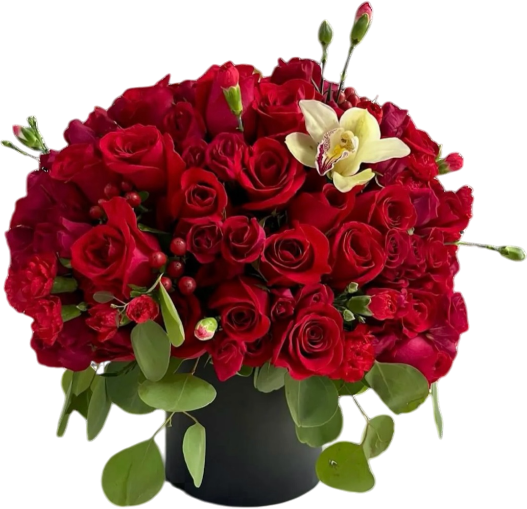 Luxury box with 50 premium red roses designed for romantic gifting and same-day flower delivery in Coral Gables.