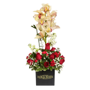 Luxury box with 50 premium red roses designed for romantic gifting and same-day flower delivery in Coral Gables.
