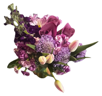 Ramo de celebración de rosas moradas y tulipanes