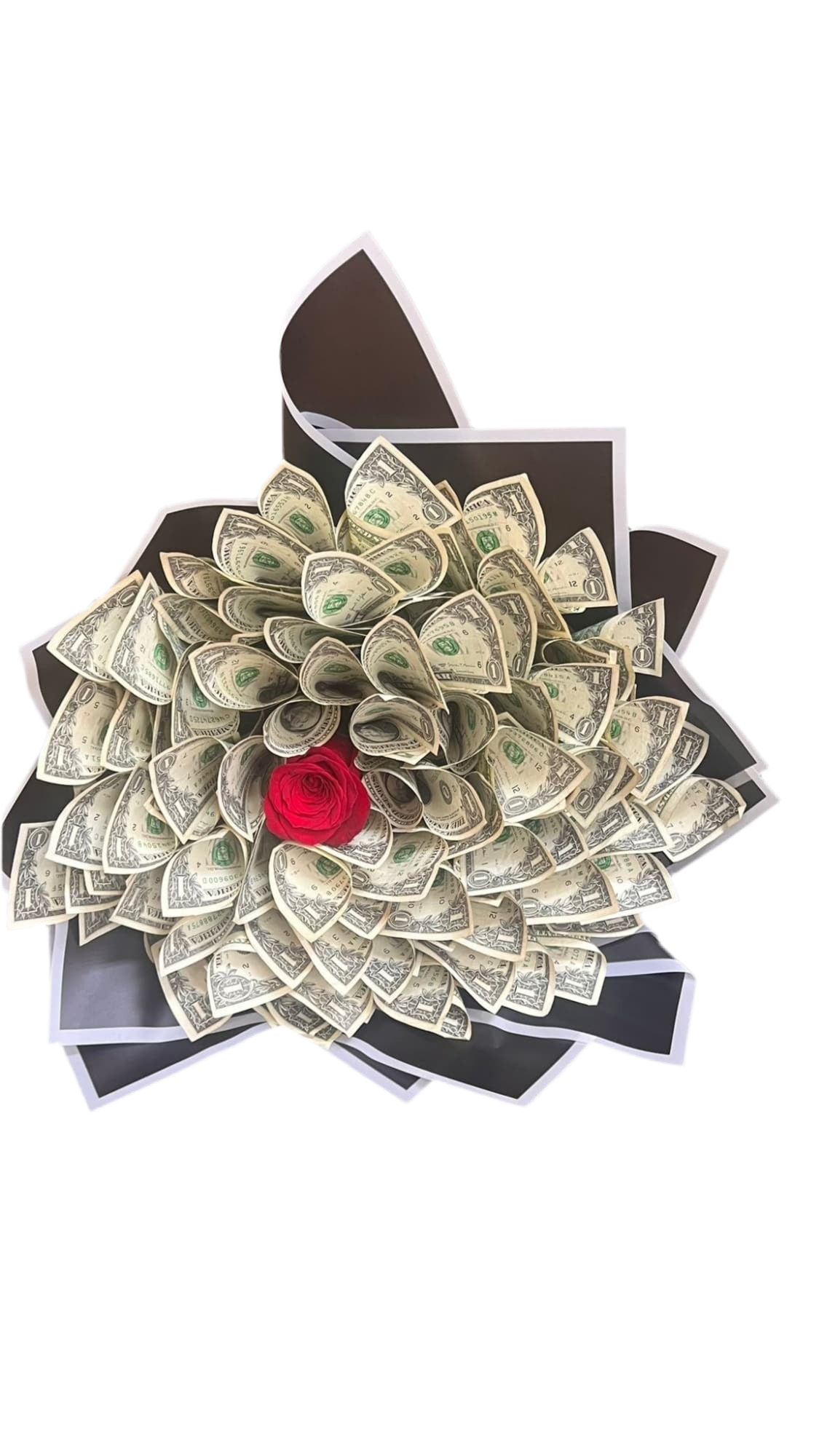 Ramo de Dinero con Rosa Miami - Regalo Original Entrega Mismo Día Doral Florida