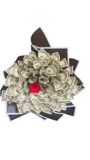 Ramo de Dinero con Rosa Miami - Regalo Original Entrega Mismo Día Doral Florida
