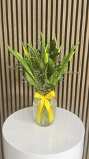 Tulipanes Jarrón Miami - 10 Flores Frescas Doral