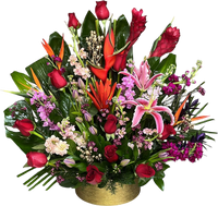Arreglo floral exótico para mamá