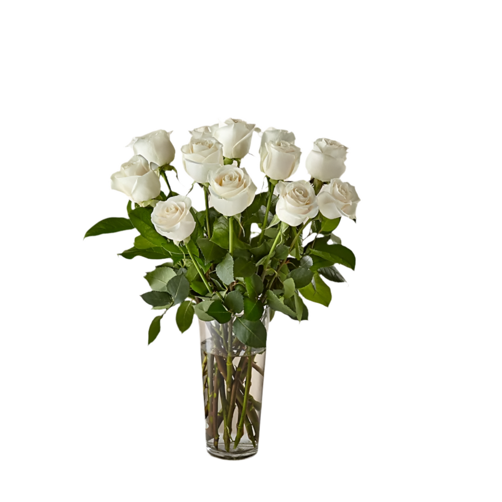 
                      
                        12 Long Stem Roses Bouquet
                      
                    