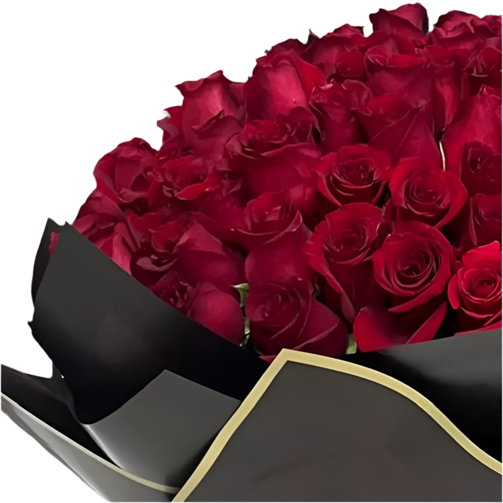 
                      
                        100 Red Roses
                      
                    