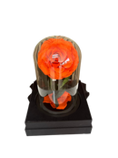 Rosa Preservada Lujo Miami - Single Elegante Doral