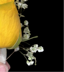 Floral Gent Boutonniere