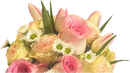 Ramo de celebración de rosas y tulipanes