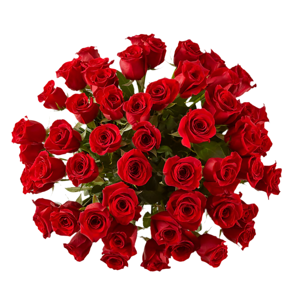 
                      
                        50 Long Stem Red Roses
                      
                    