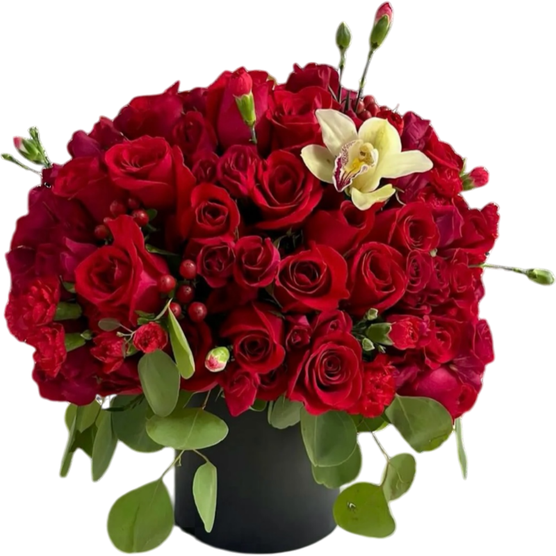 Elegant anniversary flower arrangements delivered in Miami and Doral, designed to celebrate love with premium roses and luxury bouquets.